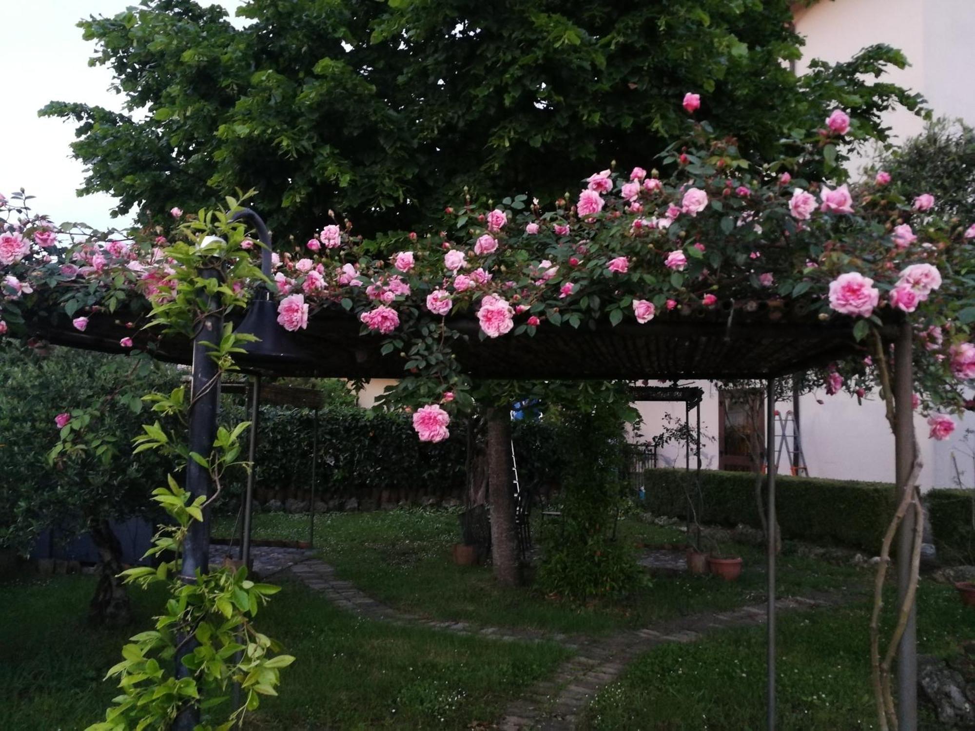Happy Family B&B Viggianello Esterno foto